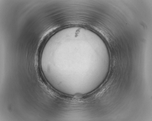 X0000115790979200912041509