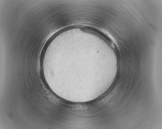 X0000115790980200912041509