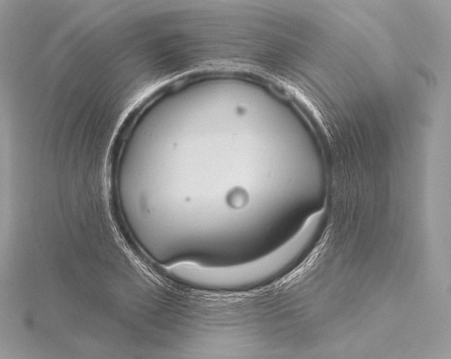 X0000115790981200912041509