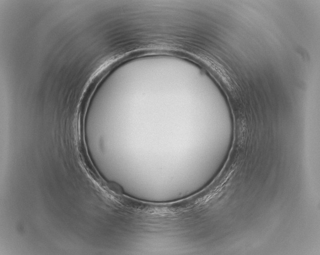 X0000115790982200912041509