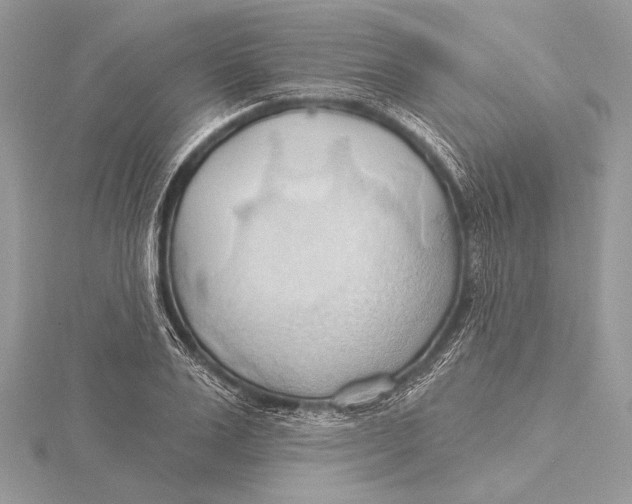 X0000115790983200912041509