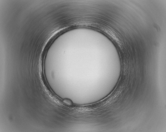 X0000115790984200912041509