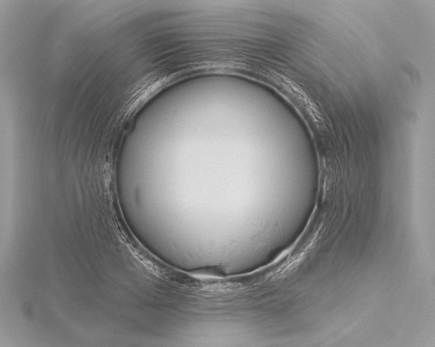 X0000115790985200912041509