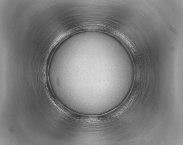 X0000115790986200912041509