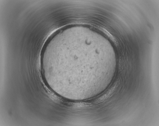 X0000115790988200912041509