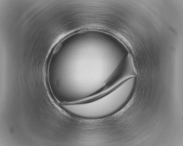 X0000115790989200912041509