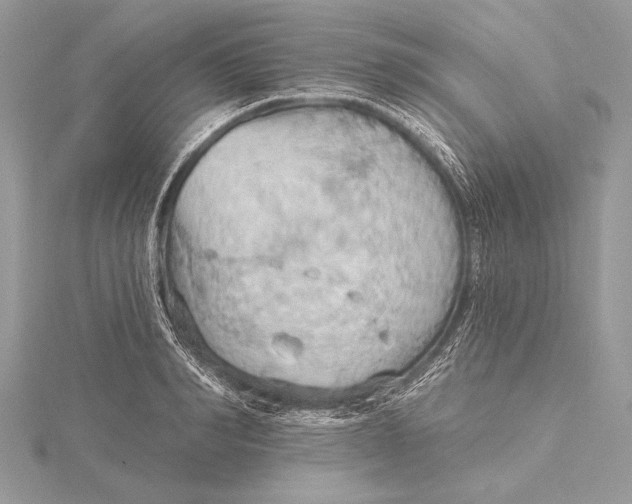 X0000115790990200912041509