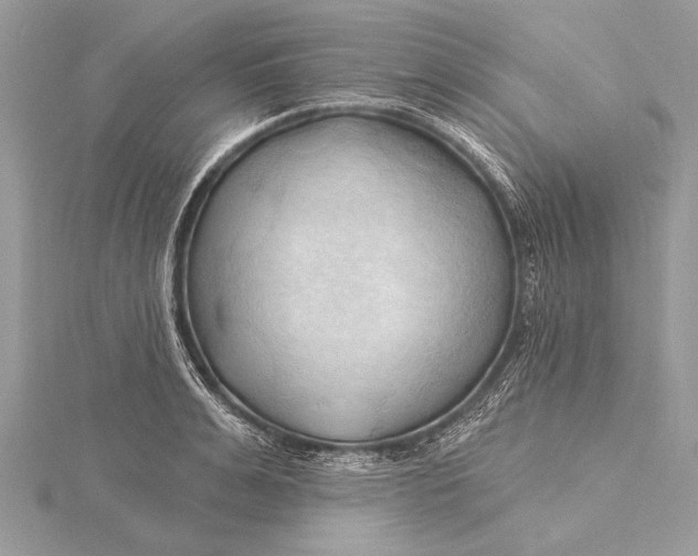 X0000115790991200912041509