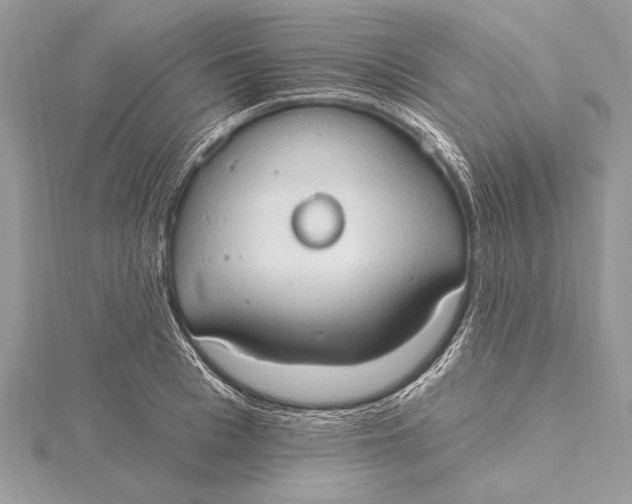 X0000115790993200912041509