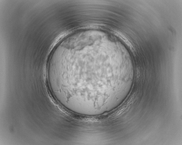 X0000115790994200912041509