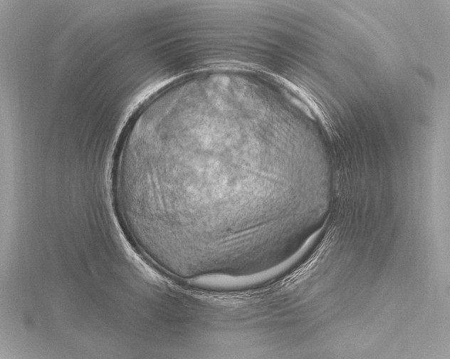 X0000115790995200912041509