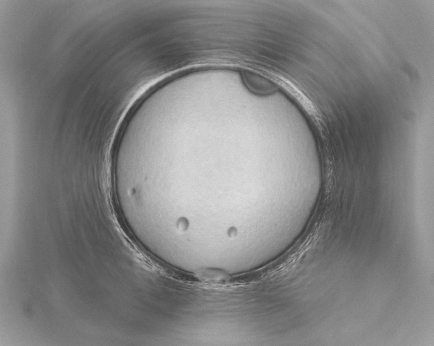 X0000115790996200912041509