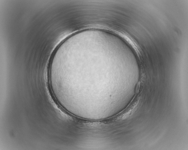 X0000115790999200912041509