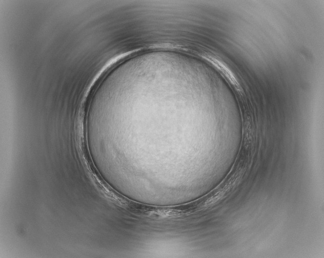 X0000115791000200912041509