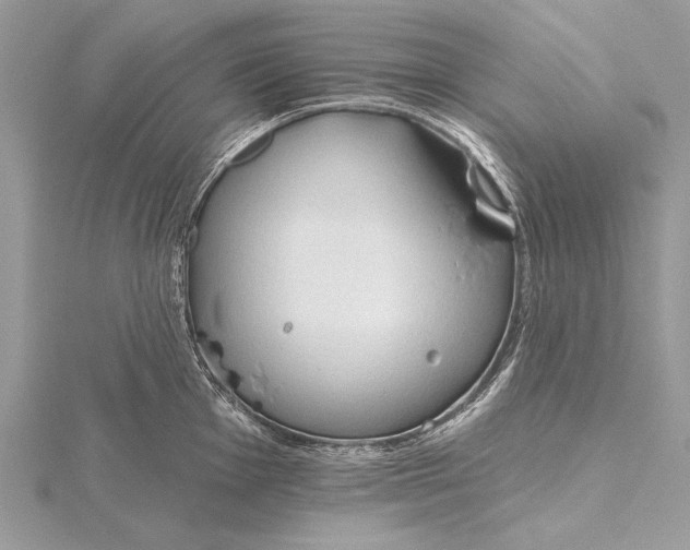 X0000115791001200912041509