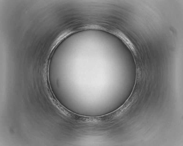 X0000115791002200912041509