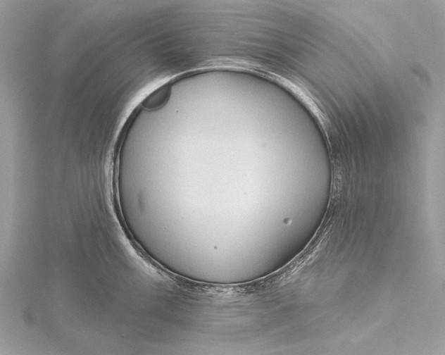 X0000115791003200912041509