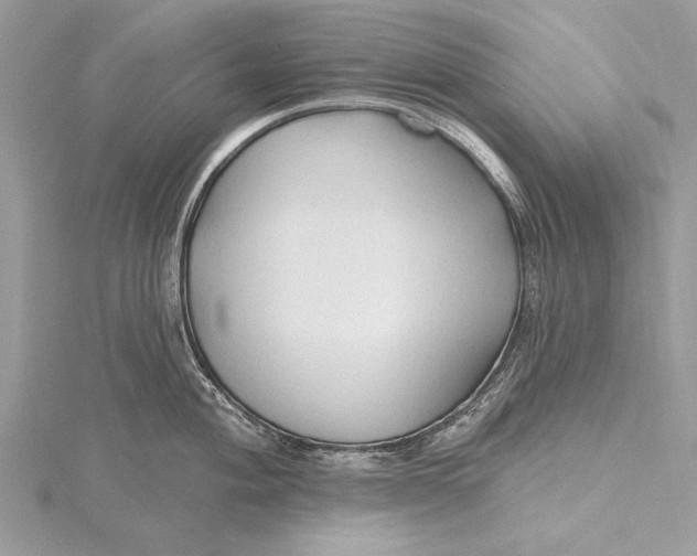 X0000115791004200912041508