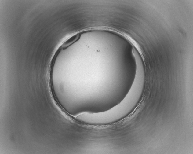 X0000115791005200912041508