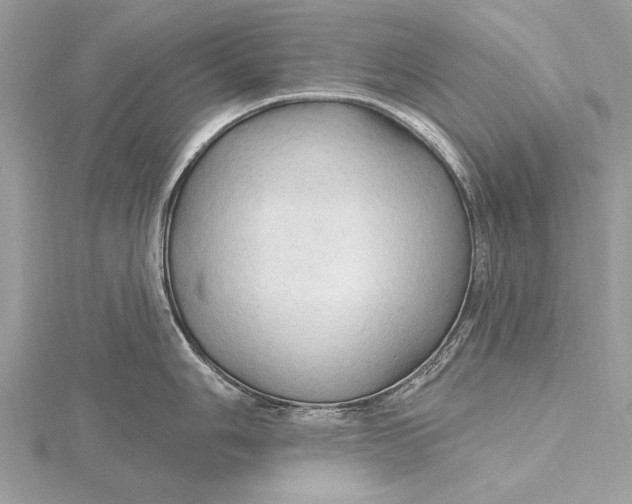 X0000115791006200912041508