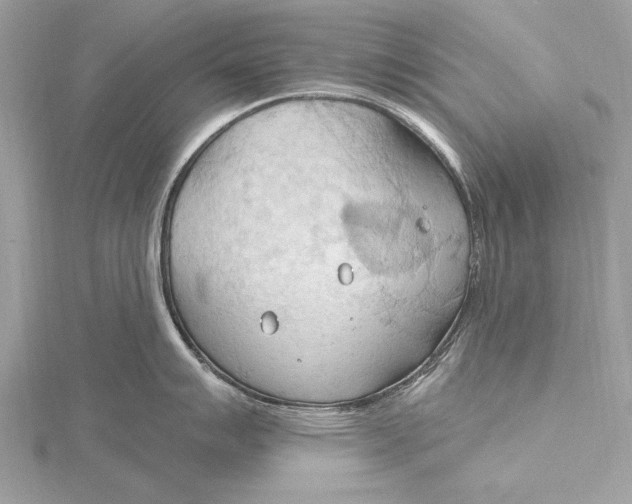 X0000115791007200912041508