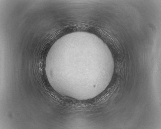 X0000115791010200912041508