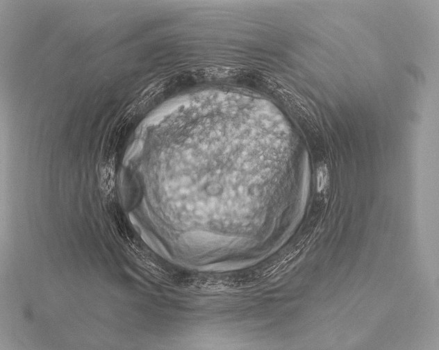 X0000115791011200912041508