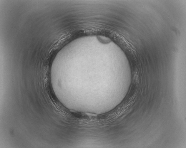 X0000115791012200912041508