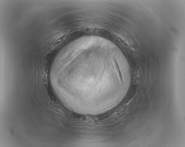 X0000115791013200912041508