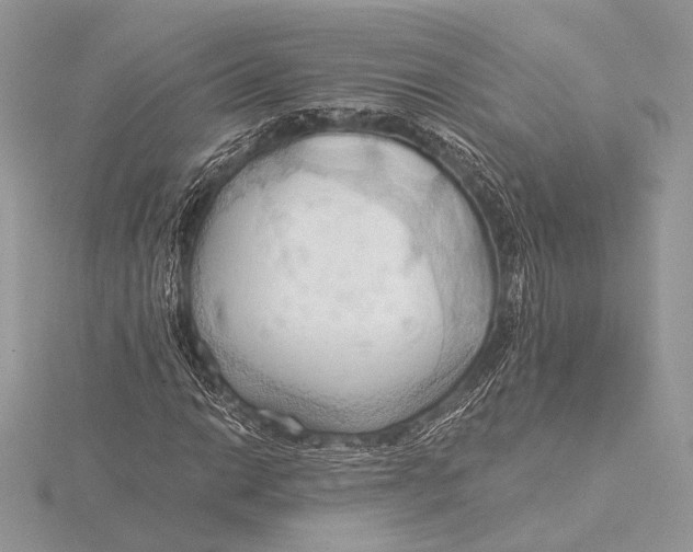 X0000115791014200912041508