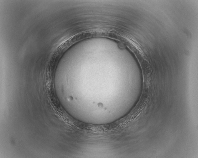 X0000115791015200912041508