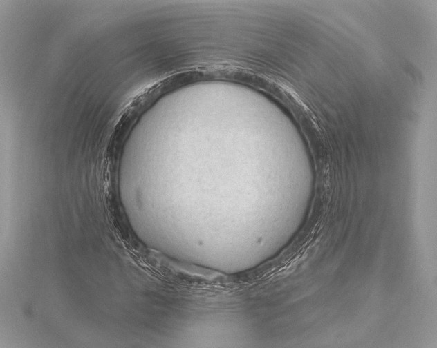 X0000115791016200912041508