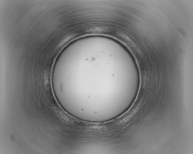 X0000115791017200912041508