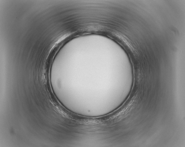 X0000115791018200912041508