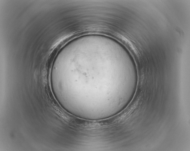 X0000115791019200912041508