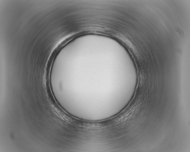 X0000115791020200912041508