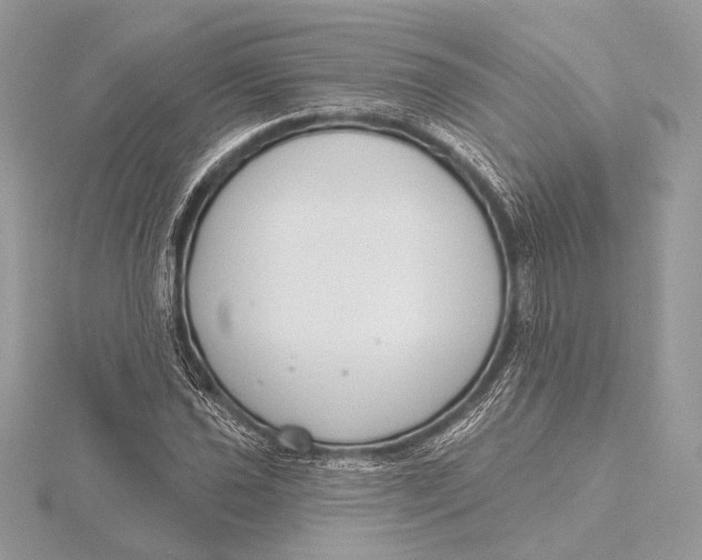 X0000115791021200912041508