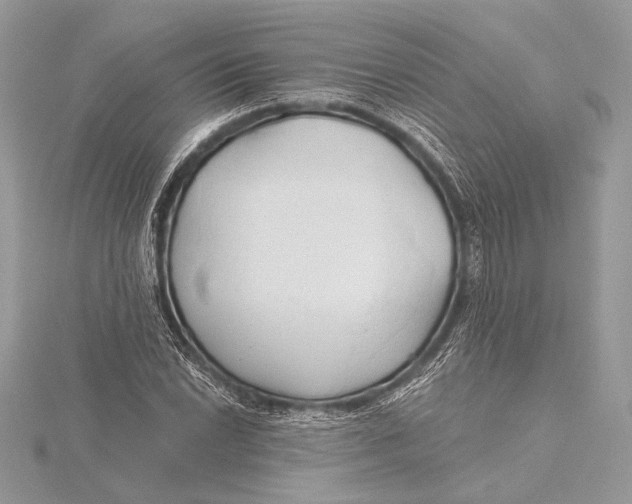 X0000115791022200912041508