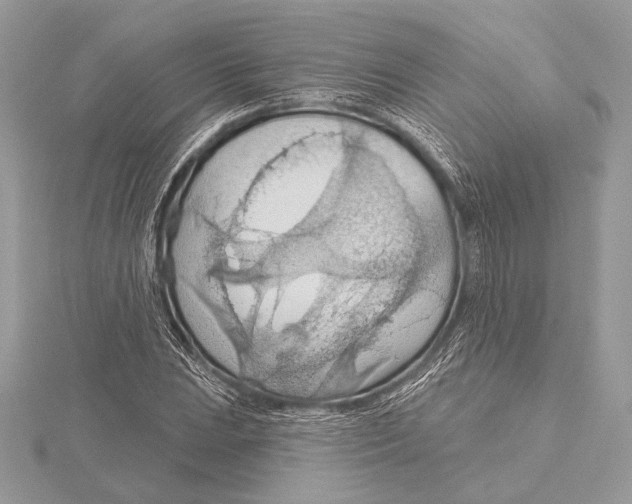 X0000115791023200912041508