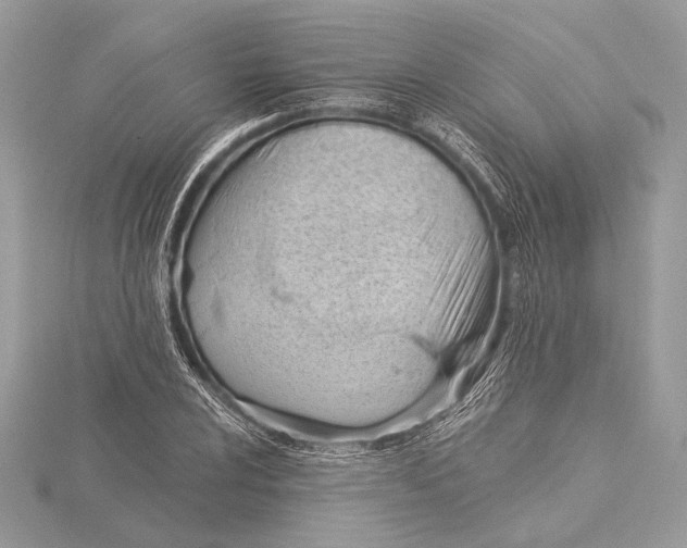 X0000115791024200912041508