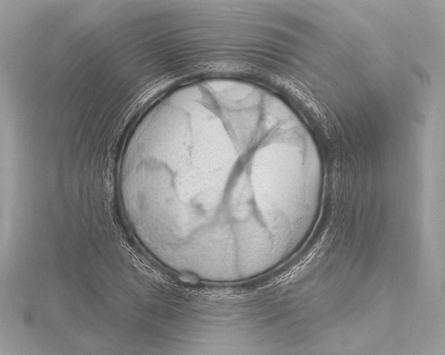 X0000115791025200912041508