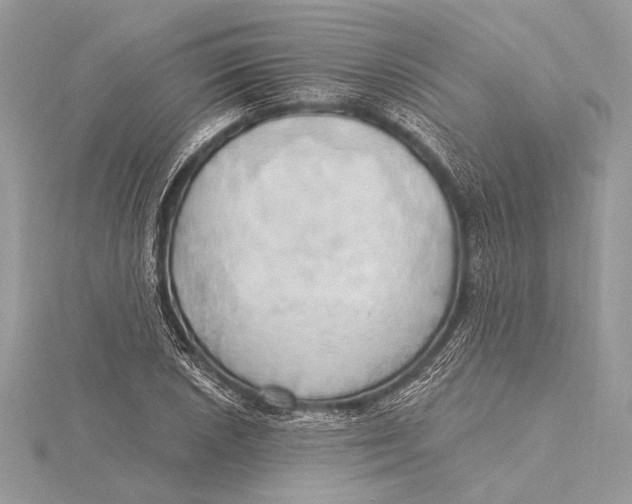 X0000115791026200912041508