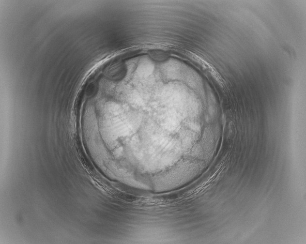 X0000115791027200912041508