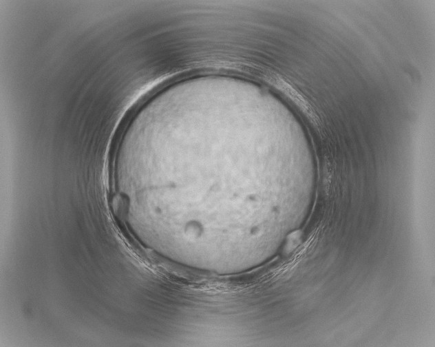 X0000115791028200912041508