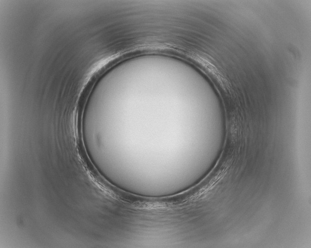 X0000115791030200912041508