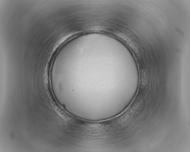 X0000115791031200912041508