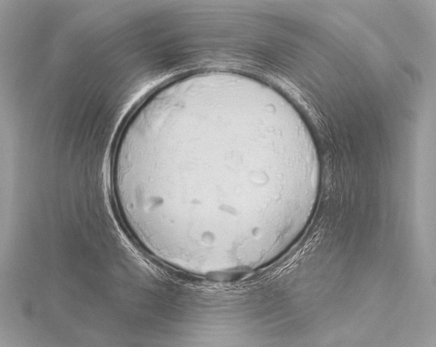 X0000115791032200912041508