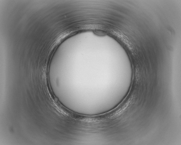 X0000115791033200912041508