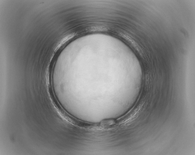 X0000115791034200912041508