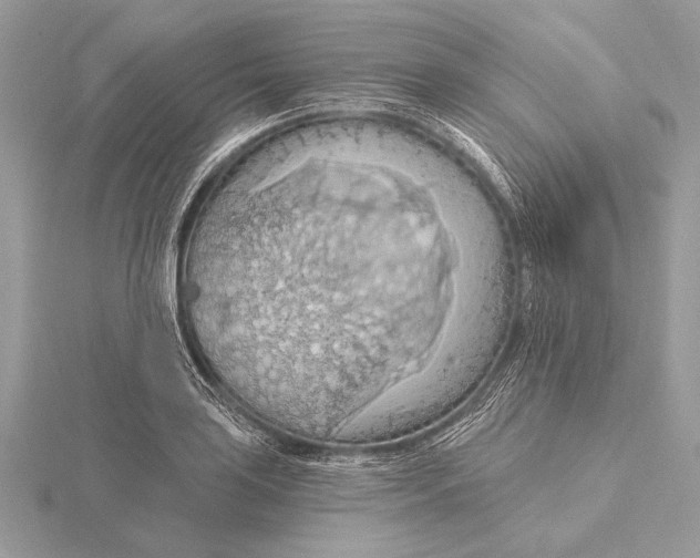 X0000115791035200912041508